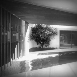 click to go to slide 12