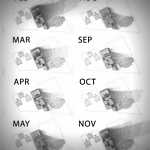 click to go to slide 15