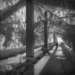 click to go to slide 11