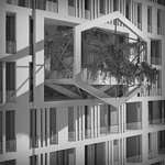 click to go to slide 12