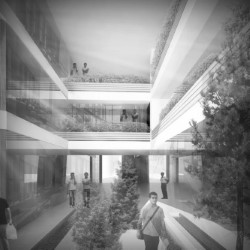 click to go to slide 12