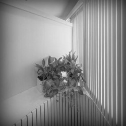 click to go to slide 19