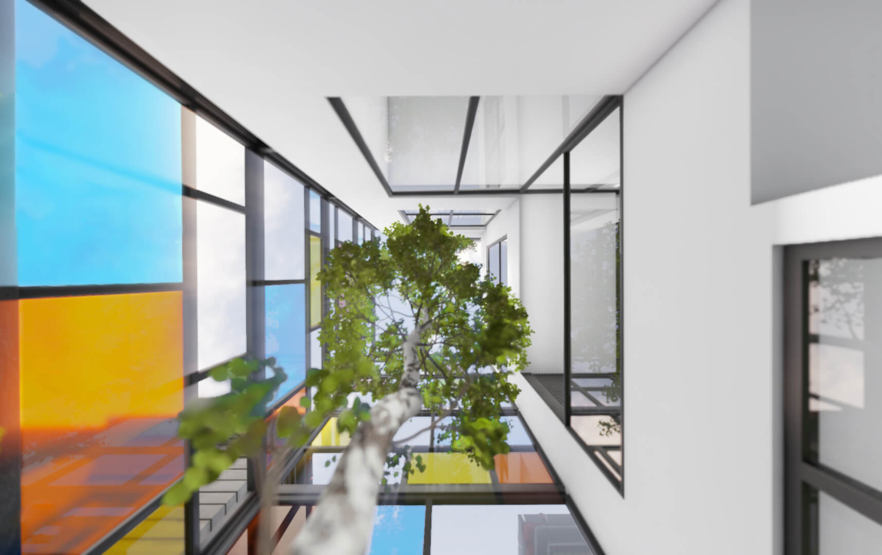 tree in the courtyard, A house surrounded by neighbors, Babol, Mazandaran