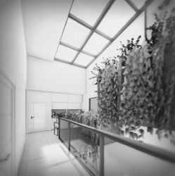 click to go to slide 17