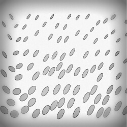 click to go to slide 3