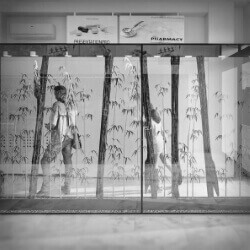 click to go to slide 6