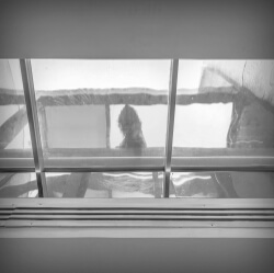 click to go to slide 18