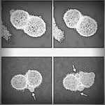 click to go to slide 3