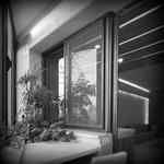 click to go to slide 15