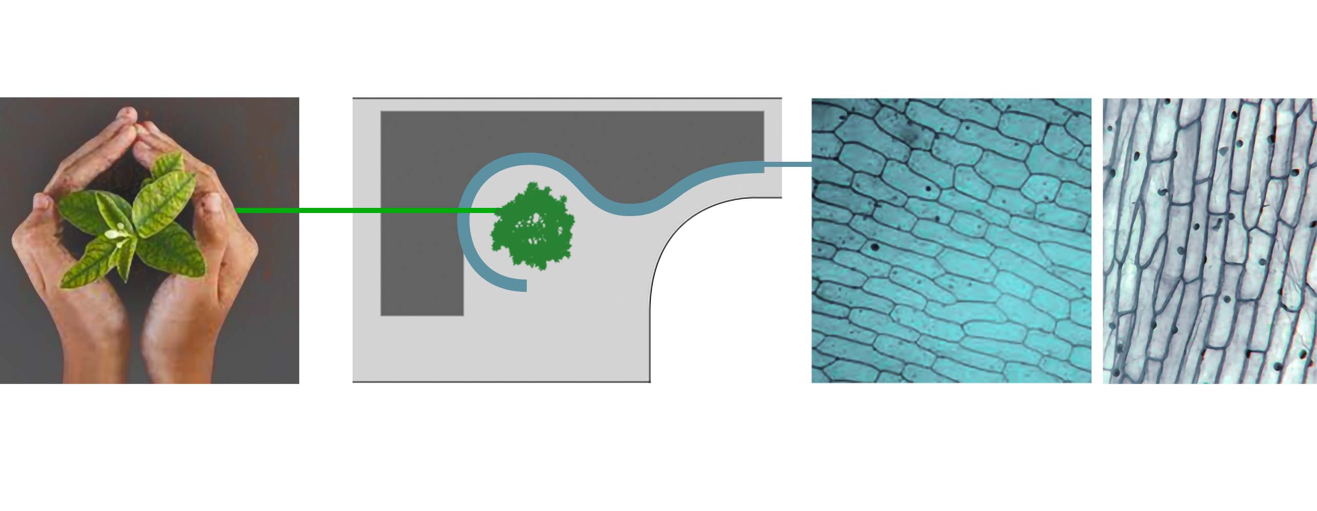 diagram 8, Sobhan Daroo co. entrance gate