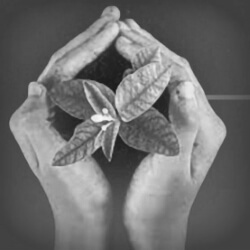 click to go to slide 10