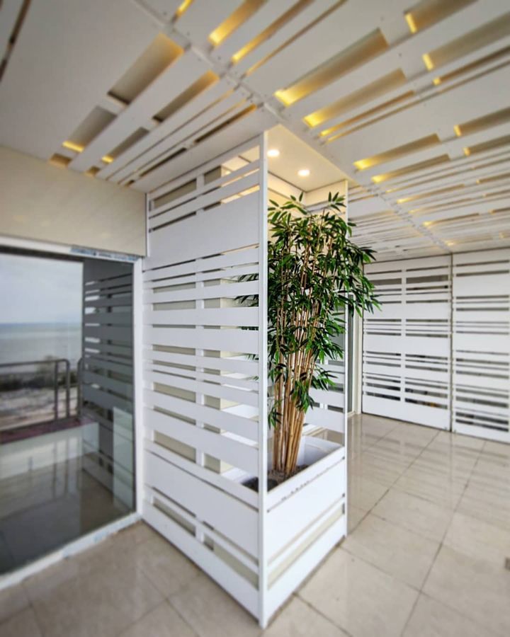 a tree in the balcony, night, renovation of a unit in tavoos tower