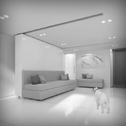 click to go to slide 11