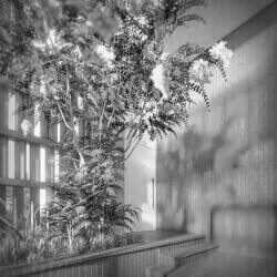 click to go to slide 11