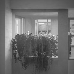 click to go to slide 12