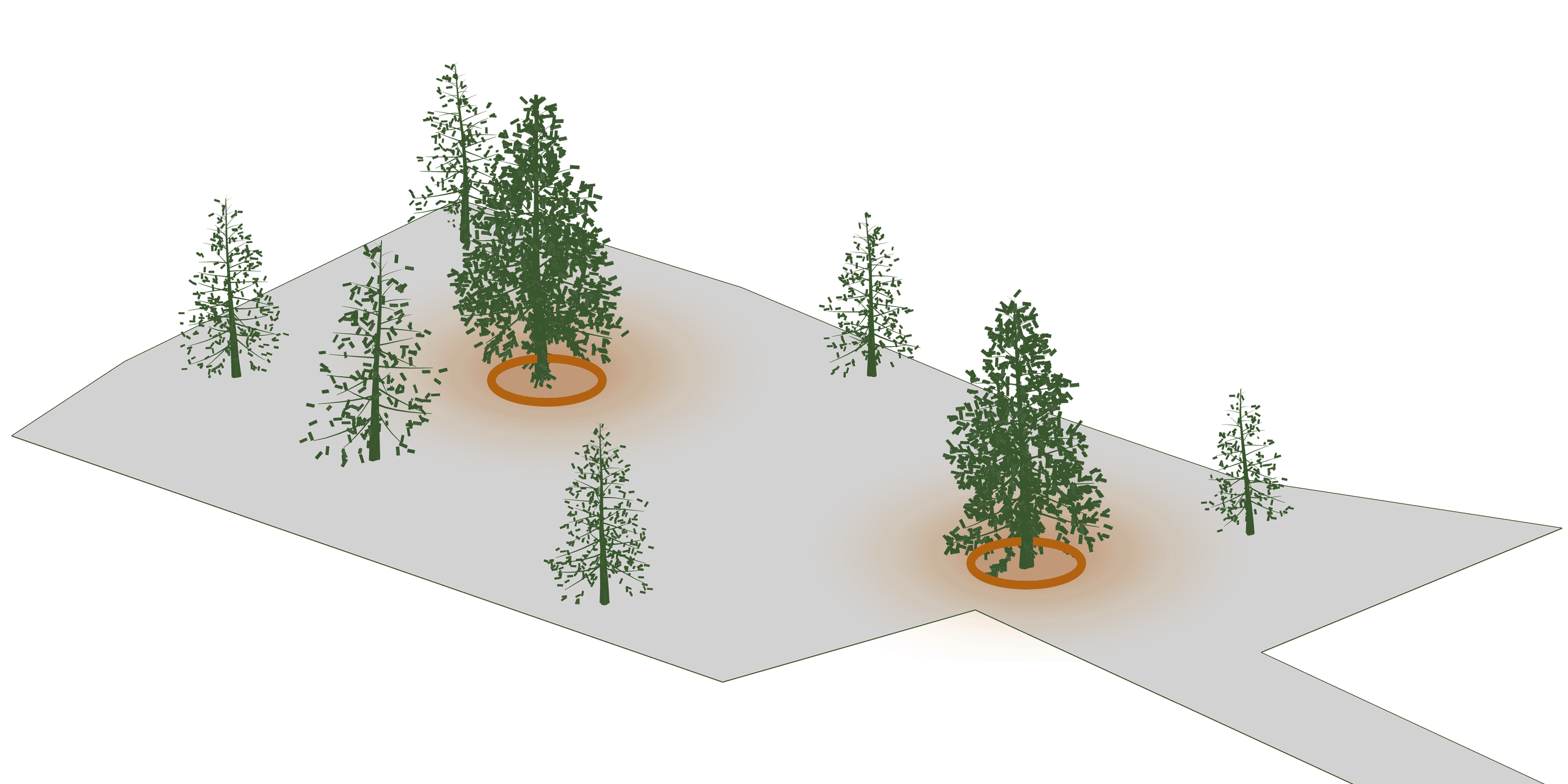 diagrm 1, a villa between two trees