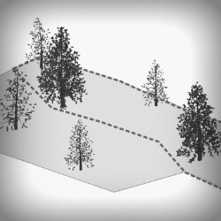 click to go to slide 3