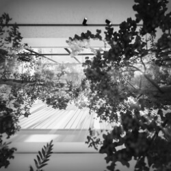 click to go to slide 17