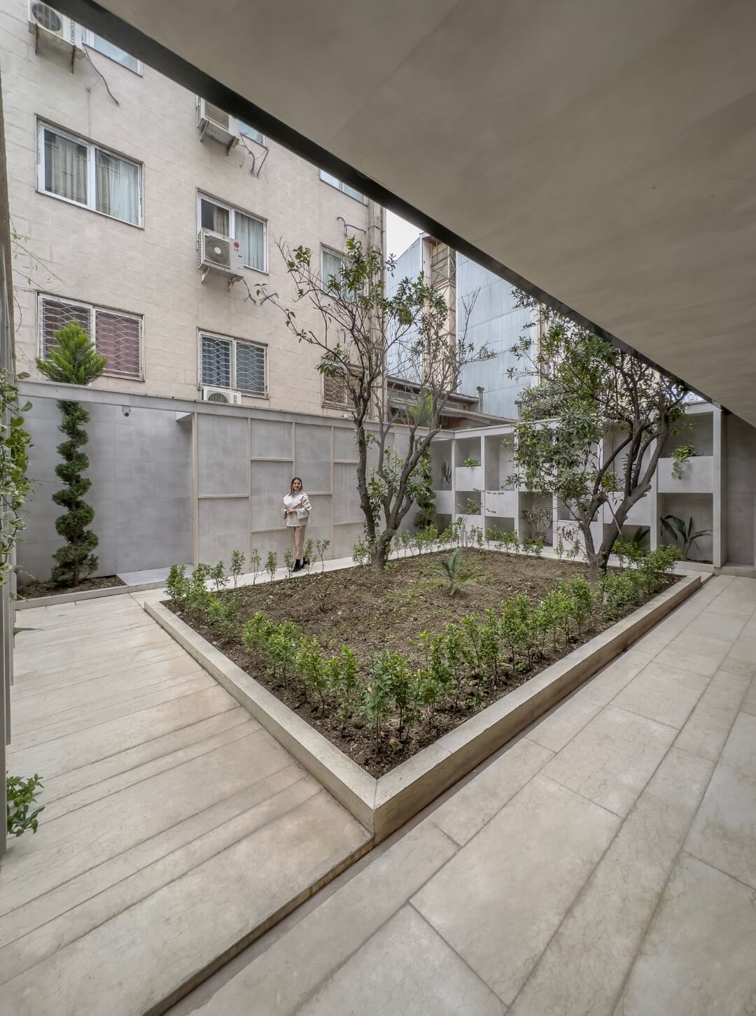 trees in the yard, 93 st. residentail aratment, golsar, rasht, iran 