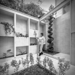 click to go to slide 29