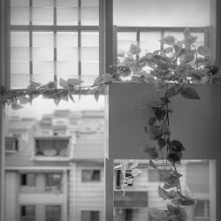 click to go to slide 19